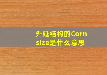 外延结构的Corn size是什么意思